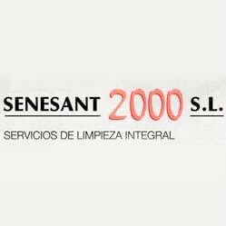 senesant2000 Profile Picture