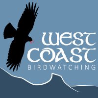 West Coast Birdwatching(@westcoastbw) 's Twitter Profileg