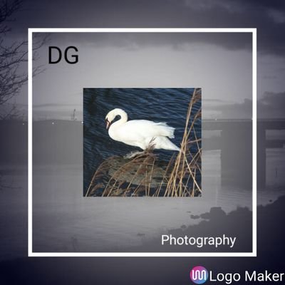 DGPhotography9 Profile Picture