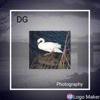 Declan Gallagher Photography(@DGPhotography9) 's Twitter Profile Photo