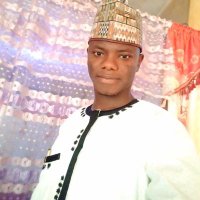 H H. Gwadabe (@gwadabe_h) 's Twitter Profile