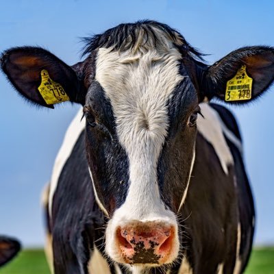 asakoseiho0828's profile picture. 大手生保レディを辞め事務職に転職出来ました。これも皆様のおかげです！あんまり呟かないので鍵垢で置いてます