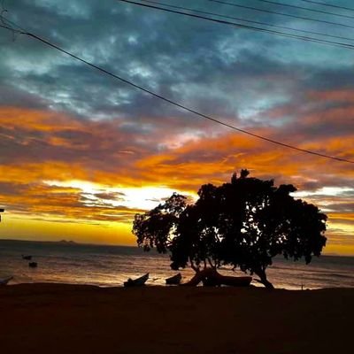 gabrielacvr's profile picture. 92🦋