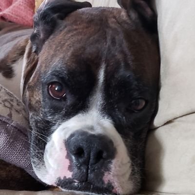 PNW28076451's profile picture. 