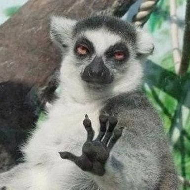 JagermenSmitty's profile picture. Im #1