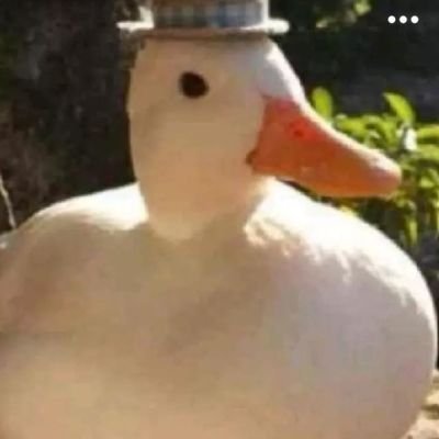 LLStarさんのプロフィール画像