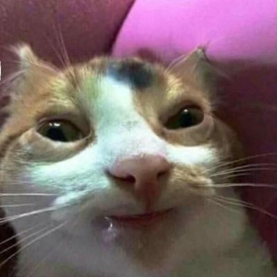 SnipSni58114627's profile picture. 