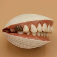 beansofjohn (@beansofjohn) 's Twitter Profile