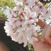 かずぼん (@kazuweb) 's Twitter Profile