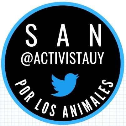 Activista por el derecho de los animales.
Abolicionista, antiespecista
@APTEHA_ONG
@Galgolibreuy