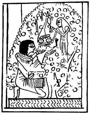 imworldtraveler's profile picture. grand canyon, Great barrier reef, Flordia , The south island , Cape town , Golden temple, Las Vegas , Sydney , New York ,Taj Mahal , Canadian Rockies, Uluru