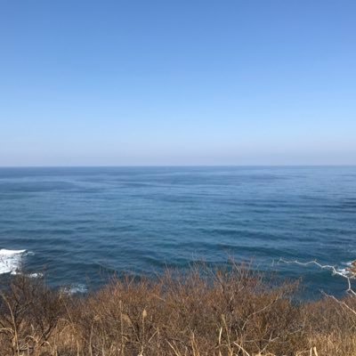 アメジスト🍒🍓さんのプロフィール画像
