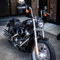 Harley-Asacha (@asachaharley) Twitter profile photo