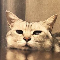 2flap (@2flap_modeling) 's Twitter Profile