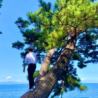 Ryo! (@neo7107) 's Twitter Profile