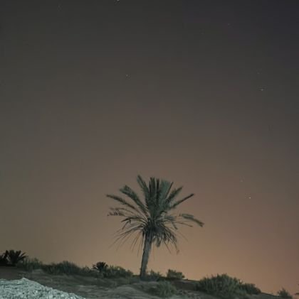 Ali_155_h's profile picture. ‏واحد من الناس