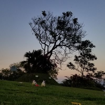7_jram's profile picture. //== Developer