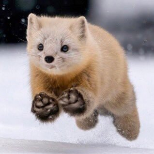 SMM_number999's profile picture. Super Mario Maker2 制作勢