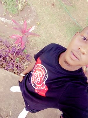 QassymQ's profile picture. 