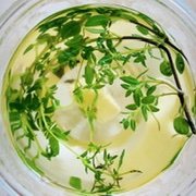 Orphic_W's profile picture. 