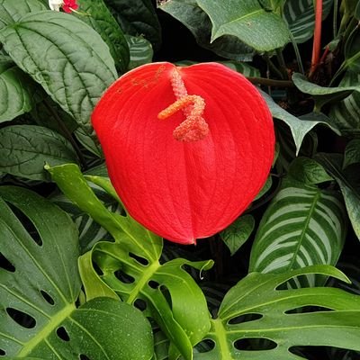 Rosemar21330192's profile picture. Crypto Degen 🪙 💂‍♂️