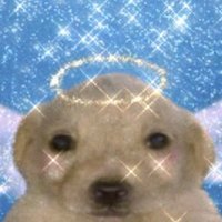 eggo dog (@1eggodog) 's Twitter Profile