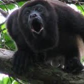 GrantJRiley1's profile picture. Teacher and occasional author