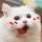 theorangecatte's profile picture. 已润，免费咨询润欧陆（其他国家不太熟）/ 难以摆脱政治抑郁 / 反共 / 小粉红别来 / 支持港台新藏民族自决独立 / 偏自由左社民 / LGBTQ+🏳️‍🌈 / feminism