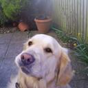 francesca morrison - @ChescaRules - Twitter