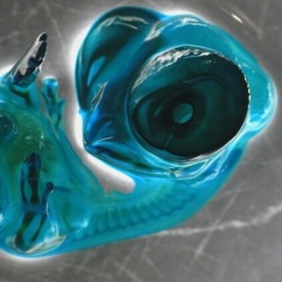 onyonyonyonyony's profile picture. 社会性皆無のダンゴムシ 日曜日夜のゲスラジオが唯一の楽しみ もう駄目だこいつ ○○○○○○○○○○○○○○○○○○○○○○○○○ 林の中の象の様に、犀の角の様にただ独り歩め○○○○○○○○○○○○○○○○○○○○○○○○○