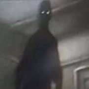 Ling💫 (@linganonymous) 's Twitter Profile Photo