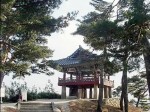 진실하고 정직한 사람이 대접 받고 성공하는 사회가 되길 바랍니다.