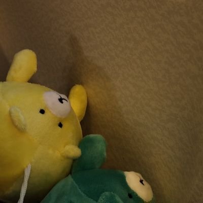 CsgD46UOoHUbcRR's profile picture. 大学のために作ってみたアカウントです😴