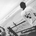 Tekzo (@mrembul__) Twitter profile photo Tekzo (@mrembul__) Twitter profile photo