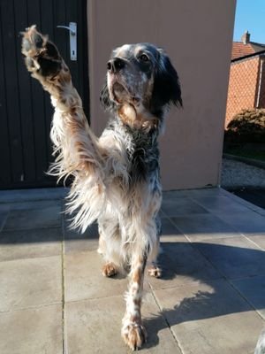 Geduldig, leef dag per dag, en statistieken zijn de grootste leugens 😜