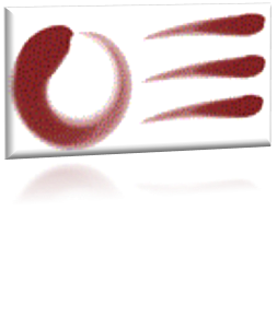 MedTraSol's profile picture. Twitter account on Medical Training Solutions. MRI, CT, X-Ray ans Scientific support on radiology world.