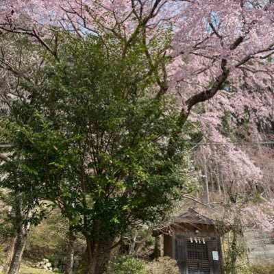 きのギラさんのプロフィール画像