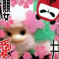 まやだ (@m_ayame) Twitter profile photo