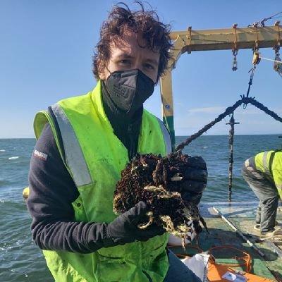 🦀🦑 Biólogo marino. Técnico de apoyo a la investigación en la Universidad de Sevilla pero mi abuela prefiere llamarlo ^lo del mar y los peces^. 📍Sevilla