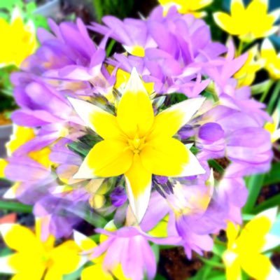 ジャスミン (@jasmine02061986) / Posts / X