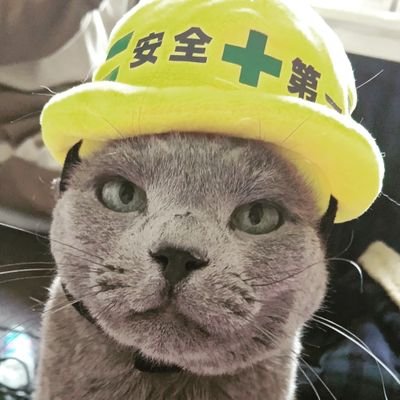 好きなのは猫！音楽！お酒！
山登りは好きになれたら良いな！
私のバッグはどれも猫の爪研ぎ