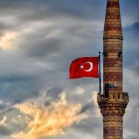 Ercan Civelek (@ercan_cvelek) 's Twitter Profile