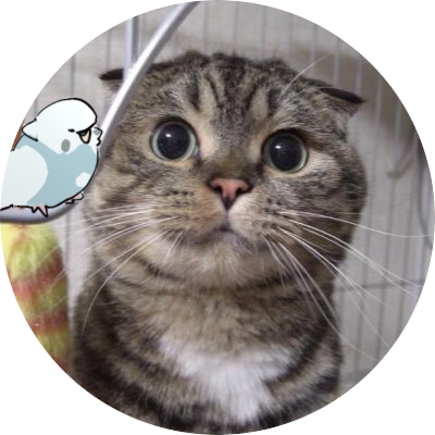 成人。映画を映画館で観るのが好きで映画やゲームの二次創作も好物です🥰ニ次創作アカや動物アカを無言で覗いてまわってます!ASD。シニアのソマリ1匹飼ってます🐱長男のえるるは2025.08永眠。デュピクセント2年経ちました。2024年3月から白血病闘病中(5クール入院終了