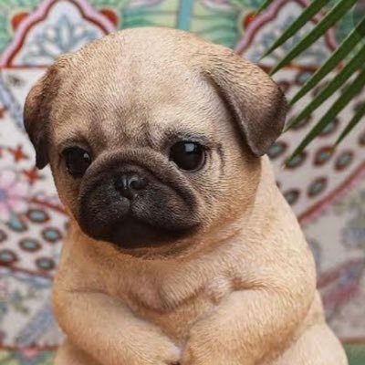 aoikumasan56351's profile picture. 落ち込んでいる人に元気を与えたい！気軽に📩ください、あなたが元気になれるような言葉送ります。自分の残り人生人の役に立つことに時間を使いたい。/＃悩み相談/#愛の言葉/#元気が出る言葉/#心理カウンセラー