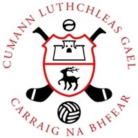 CarraignabhFearGAA (@carraiggaa) 's Twitter Profile