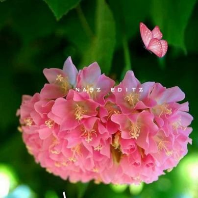 Thiruma89262274's profile picture. 