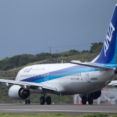 八丈島の飛行機好き