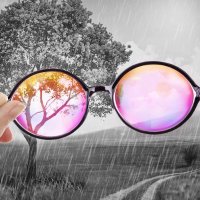 Powell's Other Glasses (Ausnotes) 🌸 (@ausnotes) 's Twitter Profile
