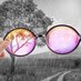 Powell's Other Glasses (Ausnotes) 🌸 (@ausnotes) Twitter profile photo Powell's Other Glasses (Ausnotes) 🌸 (@ausnotes) Twitter profile photo