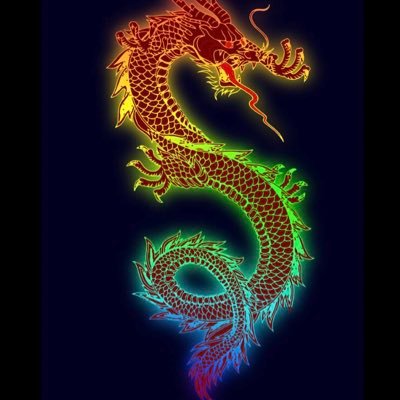 dragondries's profile picture. 